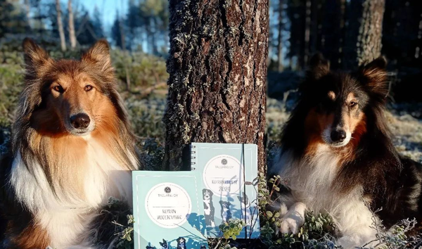 Kuvassa kaksi koiraa ja kalenterit metsässä.